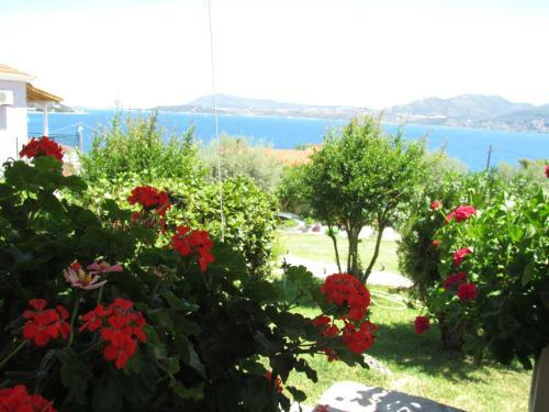 Apartamento Matina Studios
