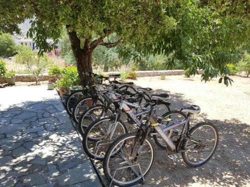 Aparthotel Tilos Fantasy