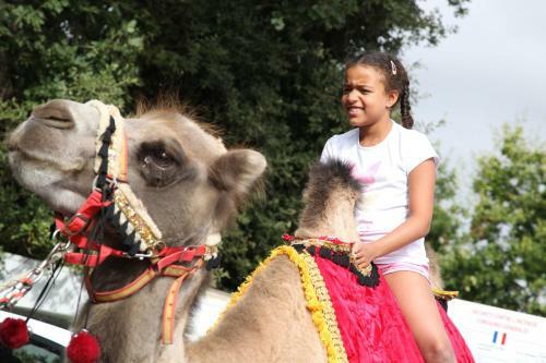 Camping Sunissim Le Paradis By Locatour