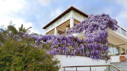 Hotel Alexandros Palace