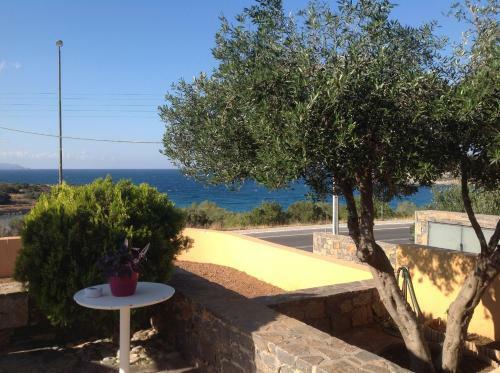 Paradise Villa