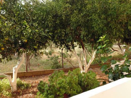 Apartamento Villa Melini