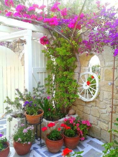 Apartamento Hotel Aeollos