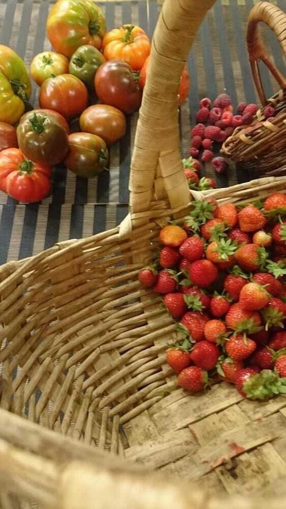 Hotel H�tel Le Subrini
