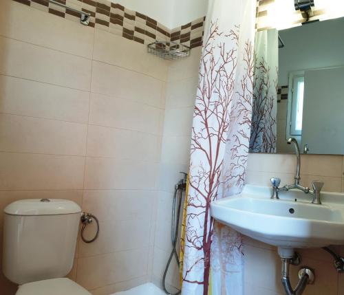 Marilena Apartments & Studios