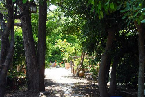 Apartamento Anofli Suites