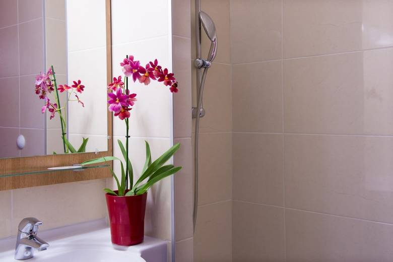 Hotel B&B La Rochelle Centre