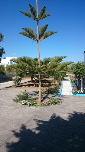 Apartamento Nikoletta Studios 1