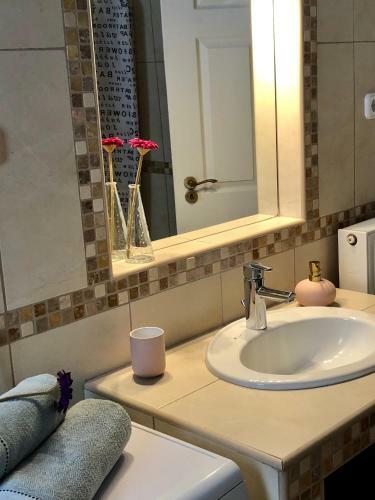 Janics�r Garden Apartman