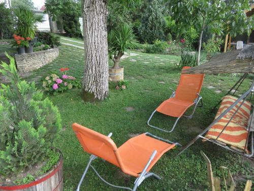 K?vir�g Apartman