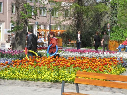 K?vir�g Apartman