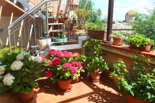 Bed & Breakfast Affittacamere Zahra