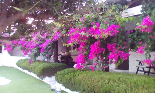 Secret Spot