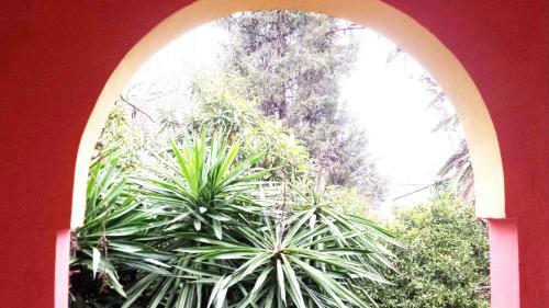 Apartamento The Banana Studios