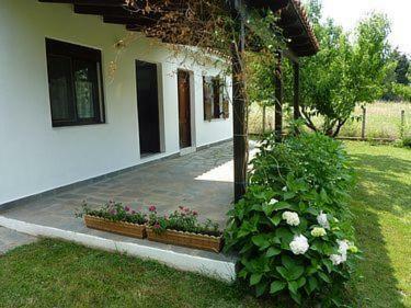 Apartamento Athanasios Stafylas