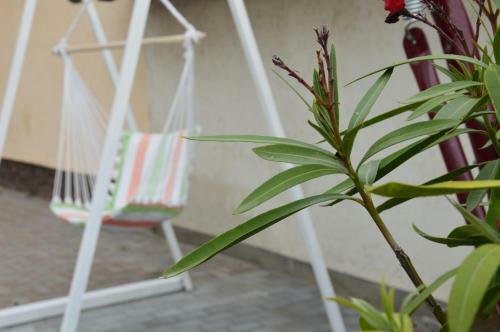 Hostal Borosty�n Vend�gh�z