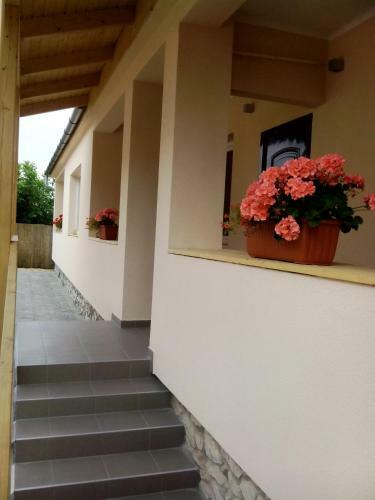 Hostal Borosty�n Vend�gh�z