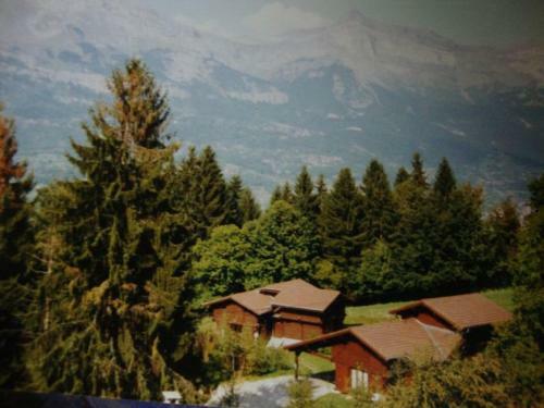 Le Petit Paddock