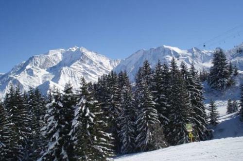 Le Petit Paddock