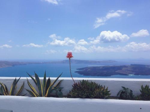 Altana Cliffside Villas