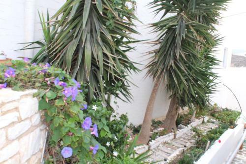 Apartamento Athina Studios