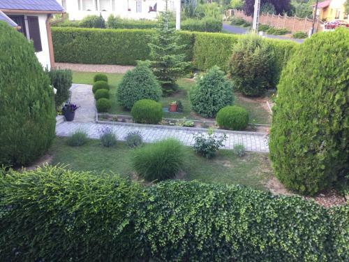 Hostal Cyrano Panzi�