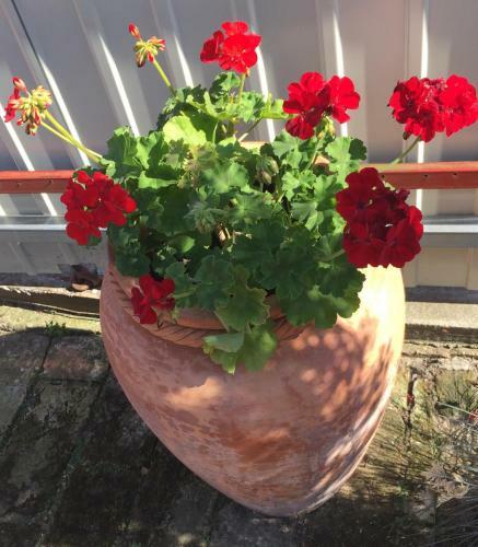 Mg Apartmanh�z