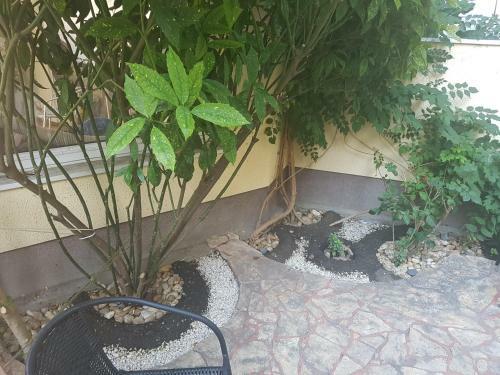 Bed & Breakfast Oswaldo Panzi�