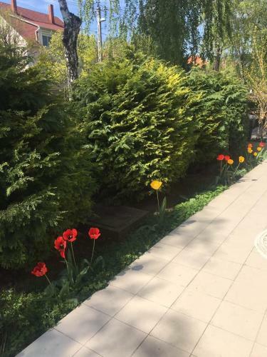 Apartamento Larisa Villa