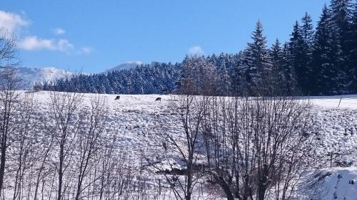 Hotel La Ferme Du Bois Barbu