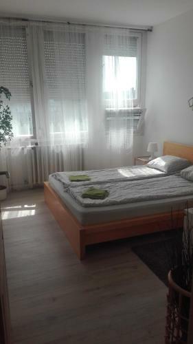 D�zsa Apartman