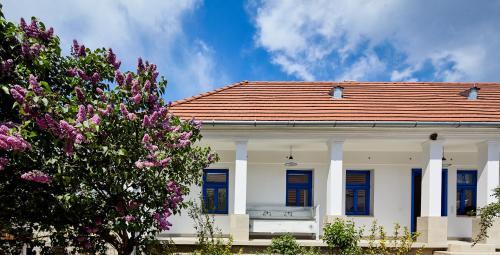 Apartamento Csend�l? Vend�gh�z