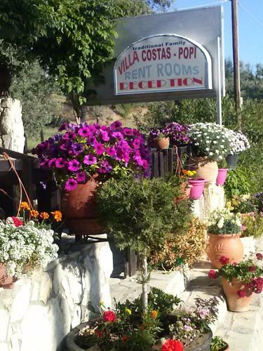 Hostal Villa Costas - Popi