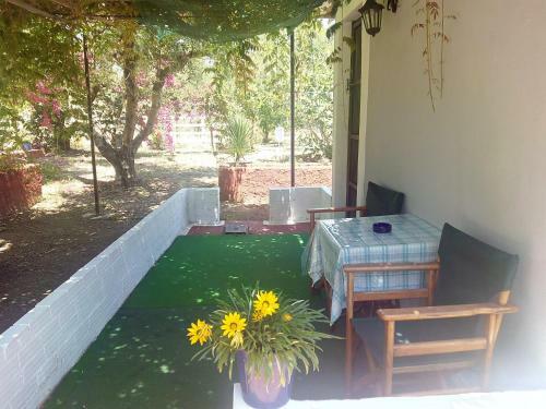 Brigitta Apartments