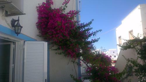 Hostal Ptolemeos Pension