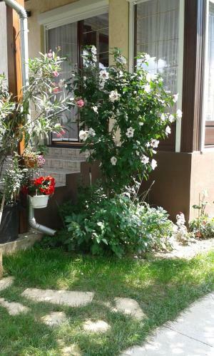 Holiday Apartmanh�z