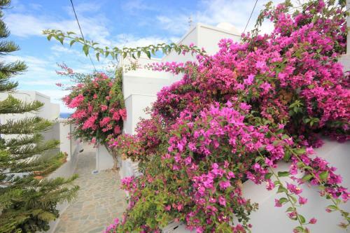 Hostal Galini Oia