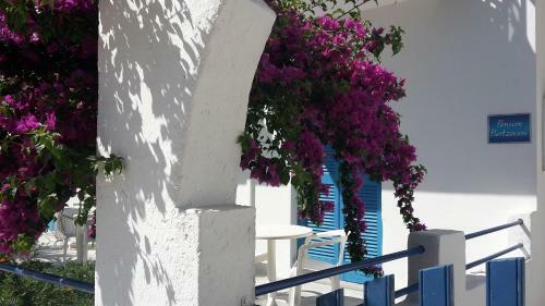 Hostal Pension Piertzovani