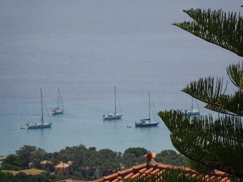Hostal Studios Ristas Kostas
