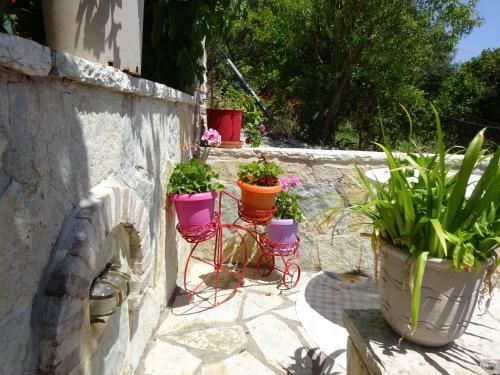 Hostal Studios Ristas Kostas