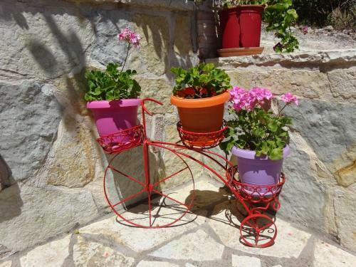 Hostal Studios Ristas Kostas