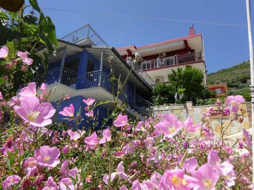Hostal Studios Ristas Kostas