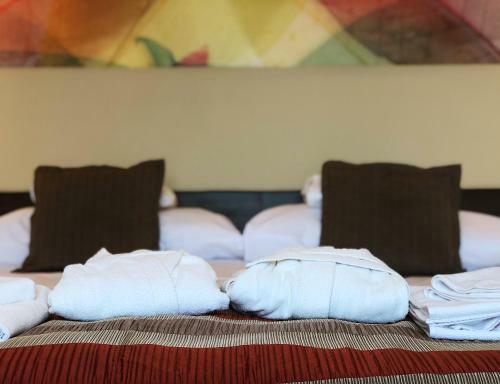 Harmonia Termal Hotel Sarvar
