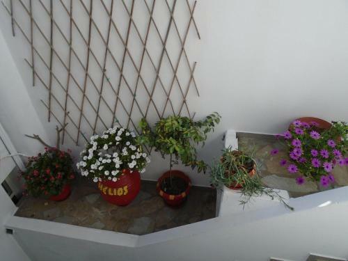 Apartamento Helios Rooms