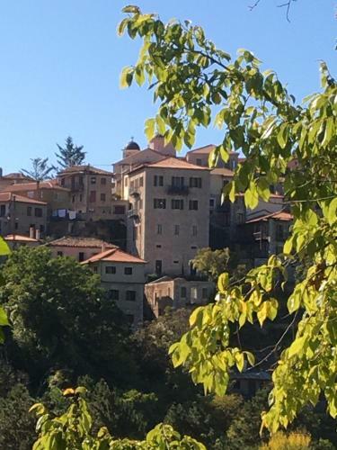 Hostal Xenios Tower