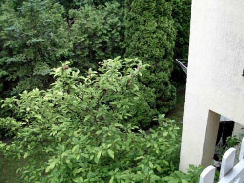 Kis Apartmanh�z