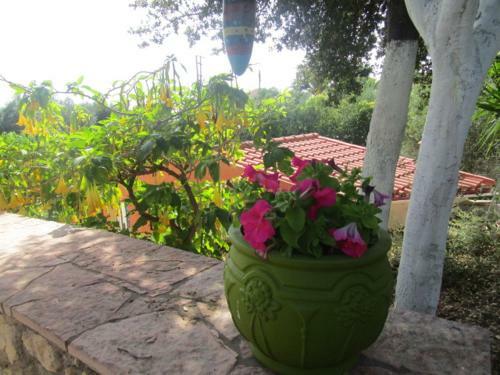 Apartamento Apsedes Studios