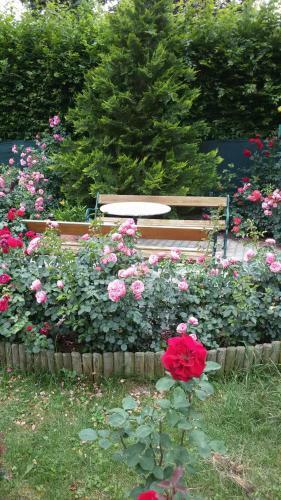 Hostal Brigitta Vend�gh�z