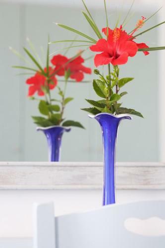 Apartamento Villa Venus