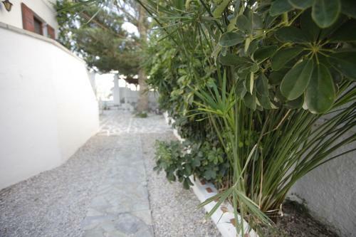 Apartamento Villa Venus